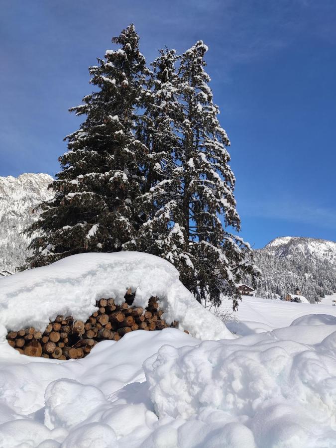 Appartamento Centrale Sappada Kültér fotó